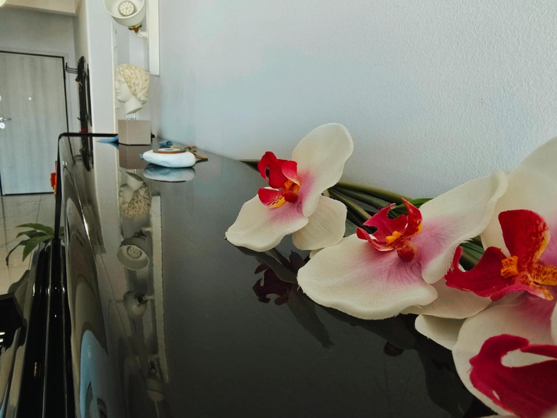 Vintage Art On The Sea Apartment Thessaloniki